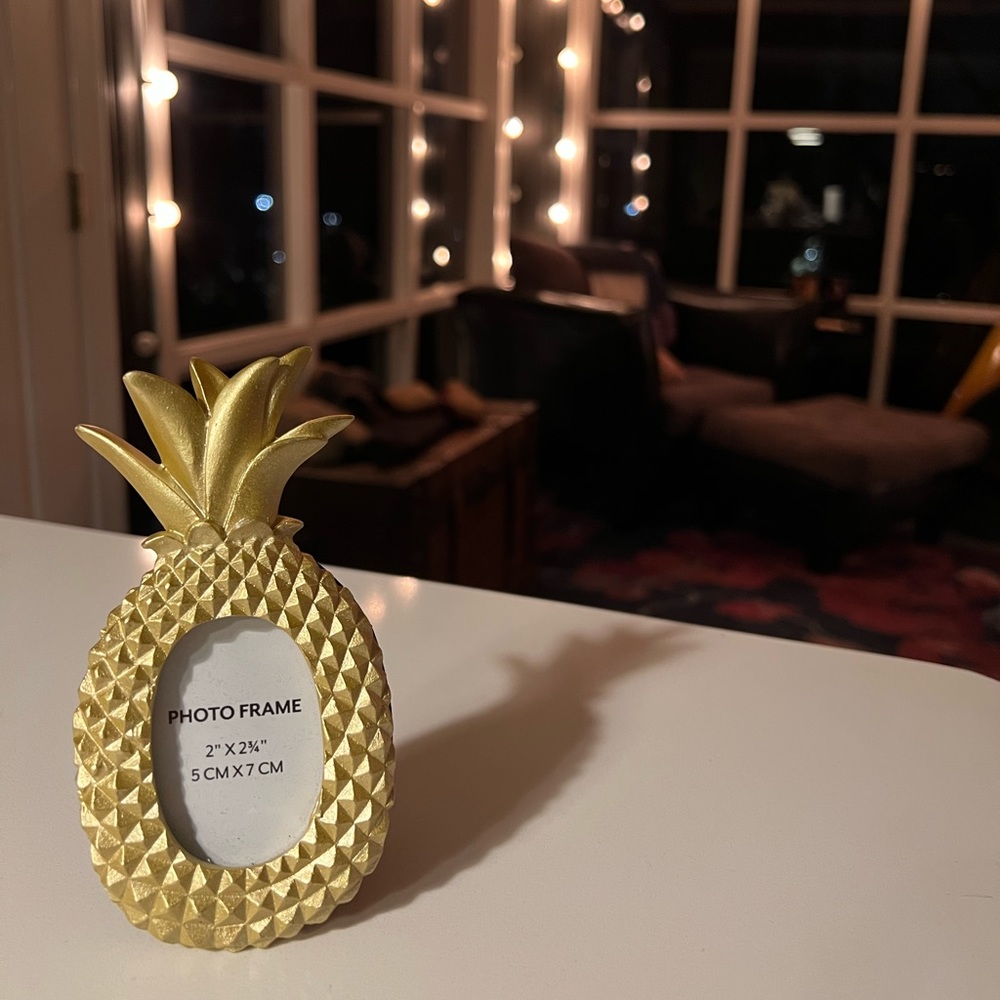 Brand New Mini Pineapple Frames (sold on the Knot)